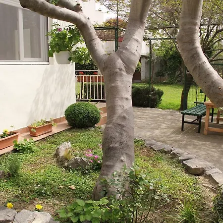 Viva Apartment Split